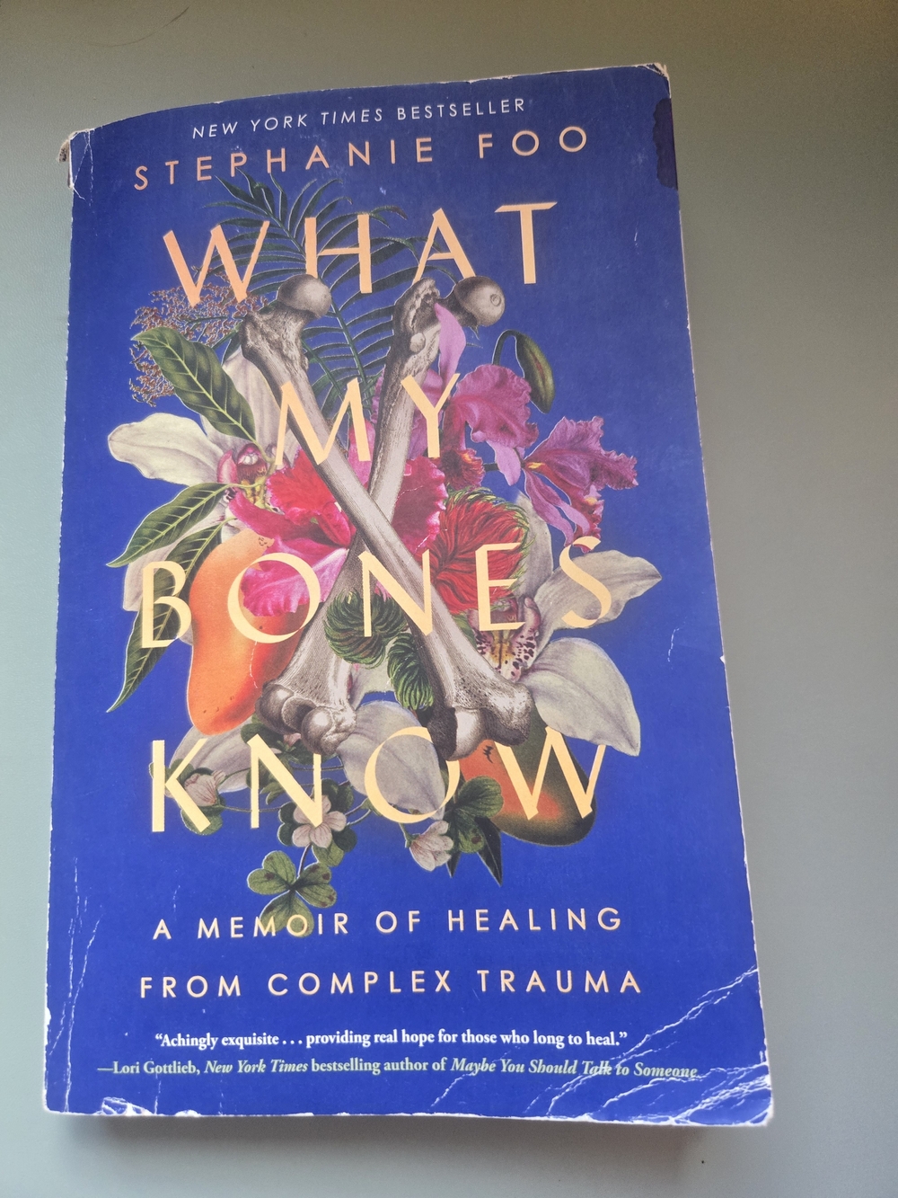 What My Bones Know by Stephanie Foo book